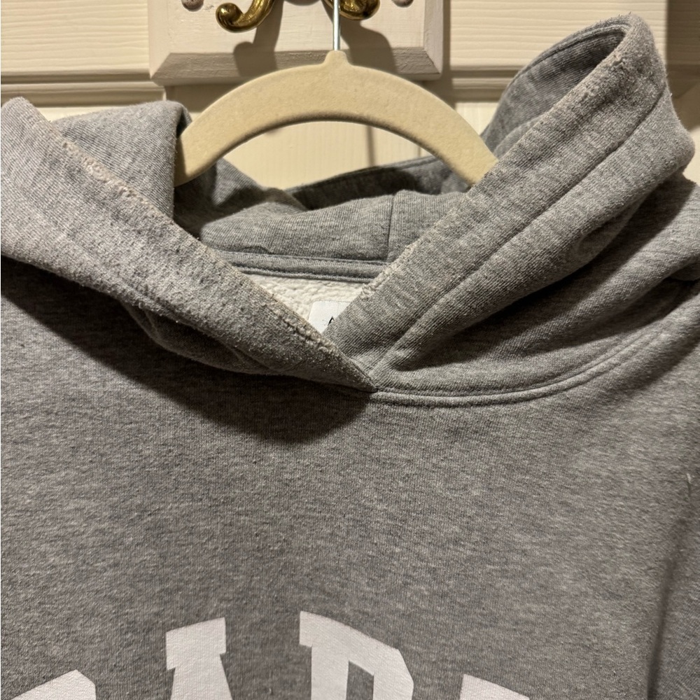 Anine Bing Gray "PARIS" Hoodie size small - Picture 3 of 6